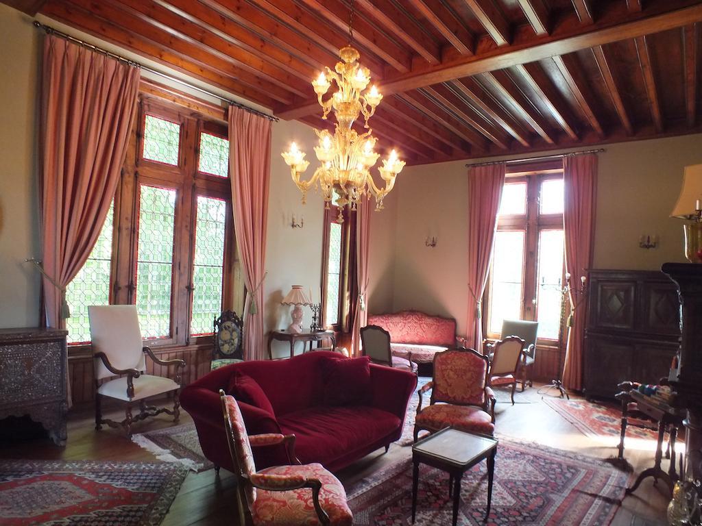 Chateau De Naze Vivy-Saumur المظهر الخارجي الصورة