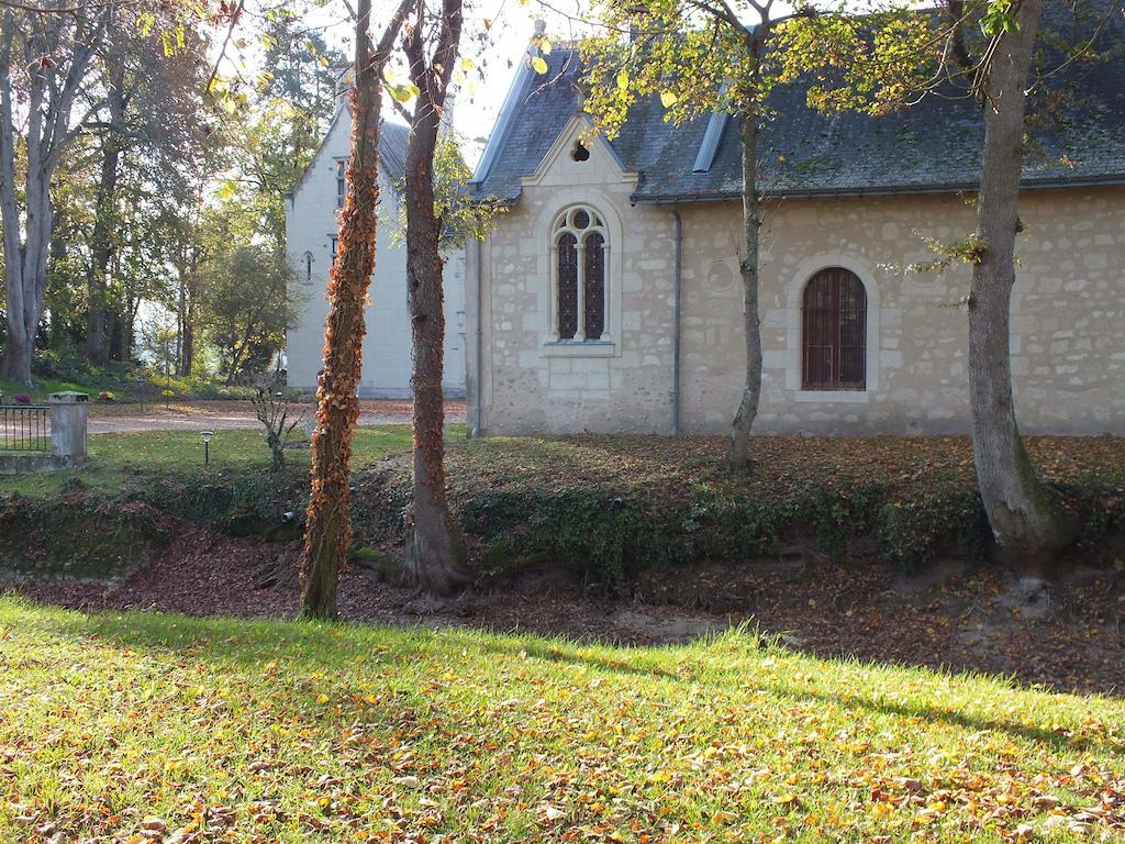 Chateau De Naze Vivy-Saumur المظهر الخارجي الصورة